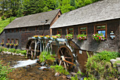 Hexenloch mill, Black Forest, Baden-Wuerttemberg, Germany