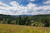 Landscape on the Black Forest Panoramic Road, Black Forest, Baden-Wuerttemberg, Germany