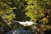 Ravennaschlucht, Südlicher Schwarzwald, Baden-Württemberg, Deutschland