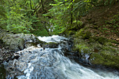 Ravennaschlucht, Südlicher Schwarzwald, Baden-Württemberg, Deutschland