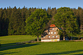 Schwarzwaldhöfe an der Schwarzwaldpanoramastraße bei Breitnau, Südlicher Schwarzwald, Baden-Württemberg, Deutschland