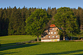 Farmhouses along the Black Forest Panoramic Road near Breitnau, Black Forest, Baden-Wuerttemberg, Germany