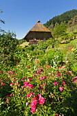 Farmhouse at Oberprechtal, Black Forest, Baden-Wuerttemberg, Germany