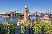 Vineyards above jetties of St.-Pauli-Landungsbrücken with tower Pegelturm, in the background port of Hamburg, Hanseatic City Hamburg, Northern Germany, Germany, Europe