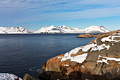 Henningsvaertraumen, Austvagoya, Lofoten, Norwegen, Skandinavien, Europa