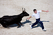 France, Bouches du Rhone, Camargue, Mejanes, folk representation at the Paul Ricard Estate, Bull Race