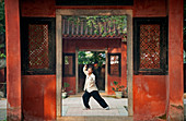 Taiwan, Tainan District, Tainan, taichi at Confucius Temple