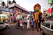 India, Kerala State, Kollam, march through the streets with an elephant decorated