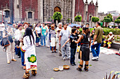 Mexico, Federal District, Mexico, sitting collective shamanism front of the cathedral