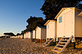France, Vendee, Ile de Noirmoutier, Bois de la Chaise, la plage des Dames (Ladies Beach) and its beach huts