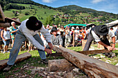France, Haute Savoie, La Clusaz, Reblochon Festival, old-style sawing