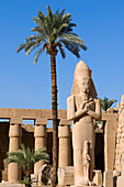 Egypt, Upper Egypt, Upper Egypt, Nile Valley, Luxor, Karnak listed as World Heritage by UNESCO, temple dedicated to Amon God, First Courtyard, Ramsès II statue with his wife between legs