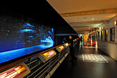 France, Loire Atlantique, Saint Nazaire Port, Escal'Atlantic in the former submarine base reliving the transatlantic's world, the promenade deck