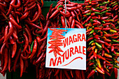 Italy, Campania, Amalfi Coast, listed as World Heritage by UNESCO, Amalfi, Via Pietro Capuano, red hot chili peppers