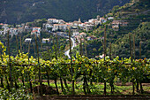 Italy, Campania, Amalfi Coast, listed as World Heritage by UNESCO, Pontone village seen from Ravello