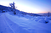 France, Vaucluse, Luberon, Mourre Negre under the snow, above Lourmarin