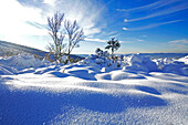 France, Vaucluse, Luberon, Mourre Negre under the snow, above Lourmarin