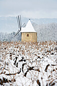 France, Vaucluse, Luberon, near Ansouis, Sannes, AOC Cotes du Luberon, mill in the vineyard under the snow