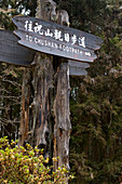 Taiwan, Chiayi District, Alishan National Scenic Area, Altitude Forest, sign