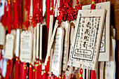 Taiwan, Tainan District, Tainan, Chihkan Towers (Fort Provintia), names of the contributors with their wishes engraved