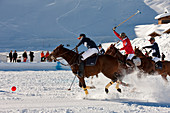France, Savoie, Tarentaise, Massif de la Vanoise, Courchevel 1850, snow polo event
