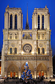 France, Paris, area listed as World Heritage by UNESCO, Notre Dame cathedral illuminated and the christmas tree