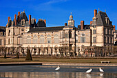France, Seine et Marne, Fontainebleau, the Royal Castle, listed as World Heritage by UNESCO, the great basin