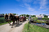 Canada, New Brunswick, the Acadian coast, the Acadian historic village of Caraquet, carriage