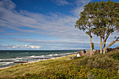Ostseeküste in Ahrenshoop, Halbinsel Fischland Darß Zingst, Mecklenburg Vorpommern, Deutschland