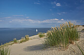 Blick von der Hohen Düne bei Nida auf das Haff, Kurische Nehrung, Litauen