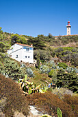 Lighthouse of Cap Béar, Côte Vermeille, Mittelmeer, Pyrénées Orientales, Occitanie, Languedoc-Roussillon, Frankreich