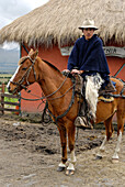 Ecuador, province de Cotopaxi, Andes, Cotopaxi National Park, Hacienda El Porvenir, Chagra gathering wild horses around Cotopaxi volcano