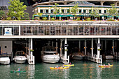 United States, Illinois, Chicago, Marina City, Chicago River, kayaks passing in front of Smith and Wollensky Restaurant