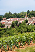 France, Cote d'Or, Pernand Vergeles, the village