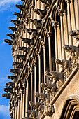 Frankreich, Côte d'Or, Dijon, Notre Dame (1230 1250), dreifache Reihen von falschen gargoyles Crane
