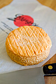Frankreich, Côte d'Or, Brochon, Gaugry Käse Unternehmen