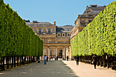 France, Paris, the Palais Royal garden redesigned by Le Notre in 1674 and his nephew Claude Desgots in 1730