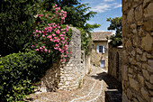 France, Gard, La Roque sur Ceze, labelled Les Plus Beaux Villages de France (The Most Beautiful Villages of France), a narrow street