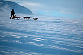 Sweden, County of Norrbotten, Lapland, Alesjaur, hiking trail of Kungsleden, sled dog tour