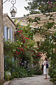 France, Vaucluse, Oppede le Vieux, old house in the village flowered lanes