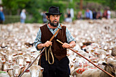 Frankreich, Bouches du Rhone, Alpilles, Saint Remy de Provence, Transhumanz Festival