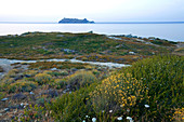 Frankreich, Haute Corse, Cap Corse, Ile de la Giraglia, Barcaggio