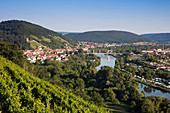 Blick über Weinberg nach Klingenberg am Main mit Fluss Main, Erlenbach am Main, Spessart-Mainland, Bayern, Deutschland