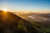 View from the Belchen south on the Wiesental valley and the Swiss Alps, sunrise, autumn, Black Forest, Baden-Wuerttemberg, Germany
