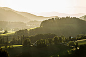 Panorama, St Peter, Schwarzwald, Baden-Württemberg, Deutschland