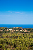 Finca and forest with Mediterranean Sea in distance, near Arta, Mallorca, Balearic Islands, Spain