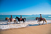 Horseback ride excursion from Finca Predio Son Serra Hotel along Playa de Muro Beach, near Can Picafort, Mallorca, Balearic Islands, Spain