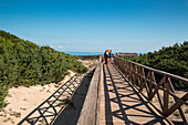 Wooden boardwalk leading to Muro Beach, near Can Picafort, Mallorca, Balearic Islands, Spain