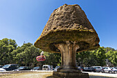 Mushroom Fountain, Village Saquare, Barjols, Var, Provence, France