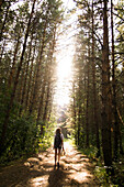 Caucasian woman walking on tree-lined forest path